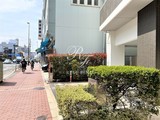 パークアクシス亀戸中央公園 パークアクシス亀戸中央公園11