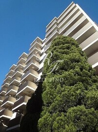 プライマル大井仙台坂 物件画像