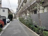 パークアクシス高田馬場テラス パークアクシス高田馬場テラスのイメージ写真⑤