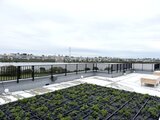 ラグゼナ平井サウス 共用部