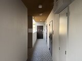 マークスサクラ 共用部