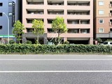 パークキューブ浅草田原町 パークキューブ浅草田原町6