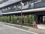 アイフラット品川戸越パークサイド 街路から見た建物低層部の開放的なエントランス周りと緑の植栽