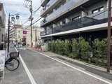 アイフラット品川戸越パークサイド 前面道路から見た建物外観と街路樹のある周辺環境