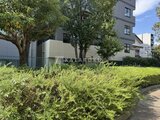 スカイウッド錦糸町 外観