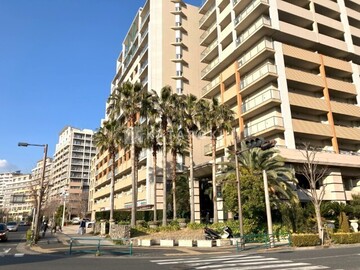 ロイヤルパークス新田 外観引き。