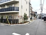 グランカーサ千駄木 外観と前面道路。