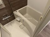 RJRプレシア蒲田 ゆとりのある浴室と白を基調とした洗い場の様子