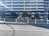 ザ・パークハウス亀戸九丁目 前面道路と外観低層部分。