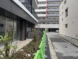 パークアクシス新大橋 外観と植栽。