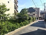 クレアティフ三軒茶屋 緑に囲まれた静かな住宅街に建つ建物外観