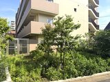 クレアティフ三軒茶屋 緑に囲まれた開放的な印象の建物外観
