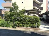 クレアティフ三軒茶屋 緑の植栽に囲まれた開放的な駐輪場と建物外観
