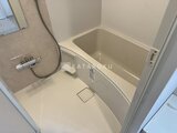 ステラテラス ゆとりのある浴室空間に配置された浴槽と シャワーの様子