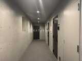 プロスタイルウェルス亀戸水神 共用部