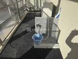 ミレーネ滝野川 ペット足洗い場写真。