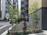 リビオメゾン浅草雷門 緑を配した開放的なエントランスアプローチと周辺街並みの様子
