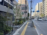 ライブカーサ文京千石プレミア 街路樹が並ぶ前面道路から見た建物外観と周辺街並み