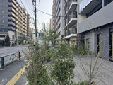 ライブカーサ文京千石プレミア 前面道路に面した開放的なエントランスアプローチと街並みの様子