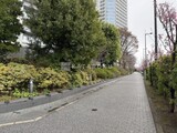 二子玉川ライズタワー＆レジデンス 外観と歩道