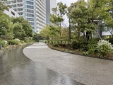 二子玉川ライズタワー＆レジデンス 敷地内緑道