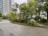 二子玉川ライズタワー＆レジデンス 敷地内緑道