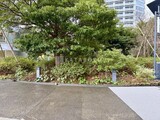 二子玉川ライズタワー＆レジデンス 敷地内緑道