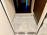二子玉川ライズタワー＆レジデンス 玄関タイル