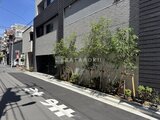 グランジット月島TOKYO BAY 前面道路から見たモダンな外観と緑を配置したエントランス周辺の