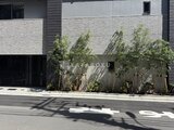グランジット月島TOKYO BAY 前面道路から見たレンガ造りの建物と緑が映える外観