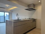 ルミーク錦糸町 3LDK以上
