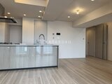 ルミーク錦糸町 3LDK以上