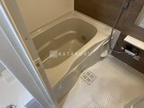 ドゥーエ三ノ輪3 落ち着いた色調の浴室に設置されたバスタブと洗い場の様子