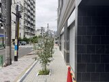 ACPレジデンス中野新橋 落ち着いた色合いの建物と緑道が調和した街路の様子