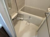 ACPレジデンス浅草 ユニットバスの浴槽と洗い場が一体となった空間
