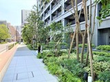 シティタワー銀座東 シティタワー銀座東のイメージ写真⑪