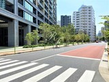 シティタワー銀座東 シティタワー銀座東のイメージ写真⑧
