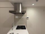 パークアクシス品川シーサイド ステンレス製レンジフードとガスコンロが備わったキッチン