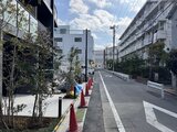 グランカーサ住吉3 周辺建物と緑が調和した、明るい印象の前面道路からの建物外観
