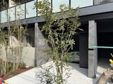 グランカーサ住吉3 モダンな外観と植栽が調和したエントランスアプローチの様子