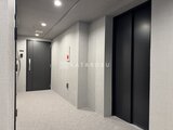 グランカーサ住吉3 モダンな色合いのエレベーターホール、落ち着いた雰囲気の共用廊