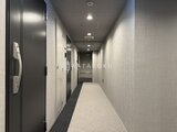 グランカーサ住吉3 モダンな雰囲気の廊下と複数の玄関ドアが並ぶ共用部