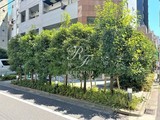 レジディア虎ノ門 レジディア虎ノ門7
