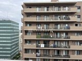 クレヴィアリグゼ蒲田西 前面道路から見たレンガ色の建物外観と隣接する緑色のビル