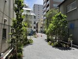 リビオメゾン浅草橋 緑に囲まれた開放的なアプローチの様子と周辺建物群