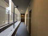 リビオメゾン浅草橋 明るく落ち着いた共用廊下と窓際のペット飼育スペース