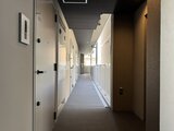 リビオメゾン浅草橋 整理整頓された共用廊下に複数の住戸玄関が並ぶ様子