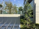 エスレジデンス駒場東大前 建物脇の階段と緑に囲まれた開放的な外観スペース