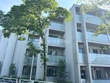 エスレジデンス駒場東大前 緑に囲まれたモダンな外観、バルコニー付きの建物ファサード