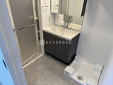エスレジデンス駒場東大前 洗面台と洗濯機置き場を備えた、コンパクトな洗面脱衣室